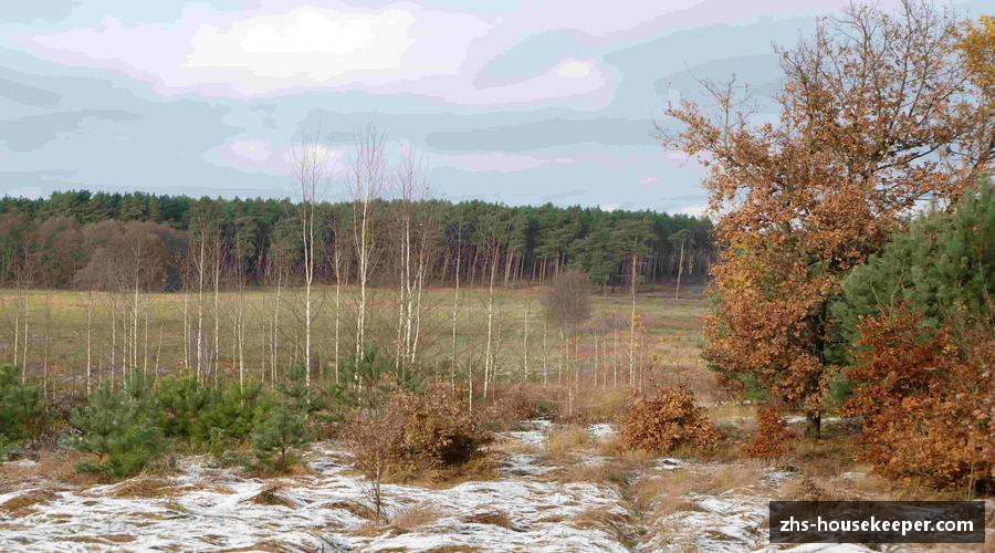 管家婆一码一肖100准-今晚澳门必中一肖一码